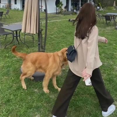千面女人妖